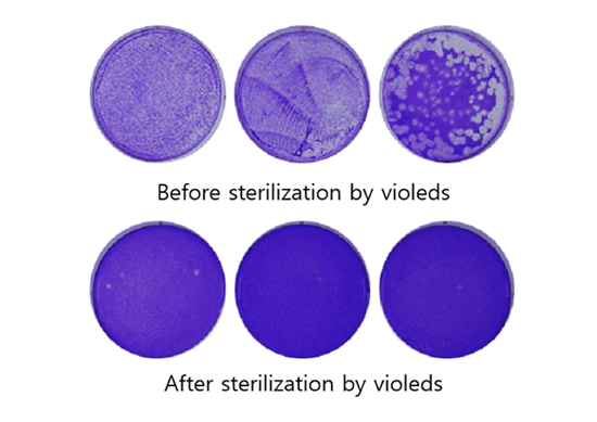 UV LED灯,能不能杀死冠状病毒?